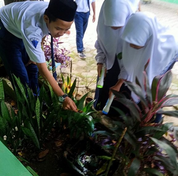 Waspadai Jentik Nyamuk, Siswa MTsN 2 Rembang Bersih Selokan
