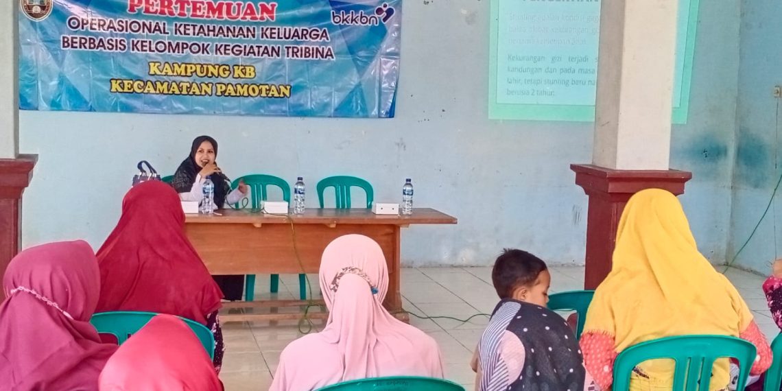 Penyuluh Kampanyekan Pencegahan Stunting