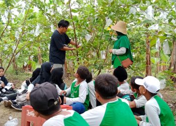 Songsong pelaksanaan Program Adiwiyata, MIN 1 Adakan Praktek Perkebunan