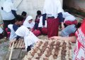 Kreatif, Siswa MIN 1 Rembang Manfaatkan Wadah Telur untuk Tanam Benih
